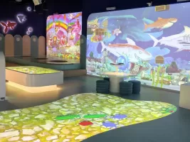 Фотография предприятия франшизы Interactive Kids