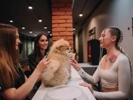 Фотография предприятия франшизы BarberDog