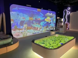 Фотография предприятия франшизы Interactive Kids