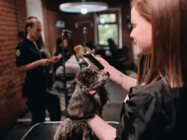 Фотография предприятия франшизы BarberDog
