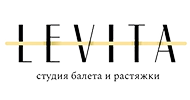 Логотип франшизы LEVITA