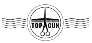Товарный знак франшизы TOPGUN № 584802