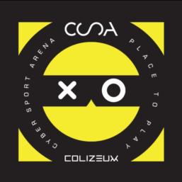Товарный знак франшизы Colizeum № 704790