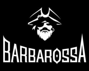 Товарный знак франшизы Барбаросса № 713356