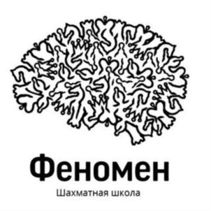 Товарный знак франшизы Феномен № 725533
