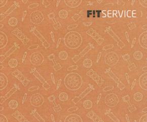 Товарный знак франшизы FIT SERVICE № 728256