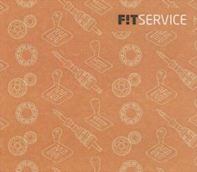Товарный знак франшизы FIT SERVICE № 732339