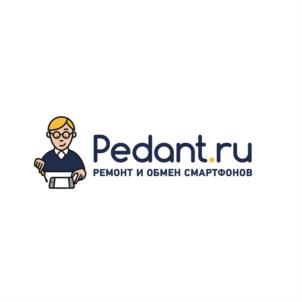 Товарный знак франшизы Pedant.ru № 788767