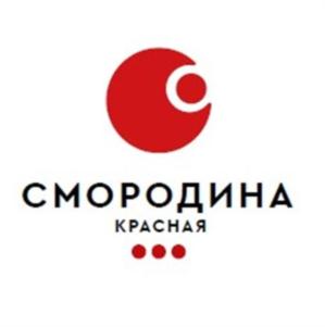Товарный знак франшизы Смородина № 789649