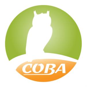 Товарный знак франшизы Сова № 811288