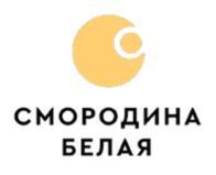 Товарный знак франшизы Смородина № 912039